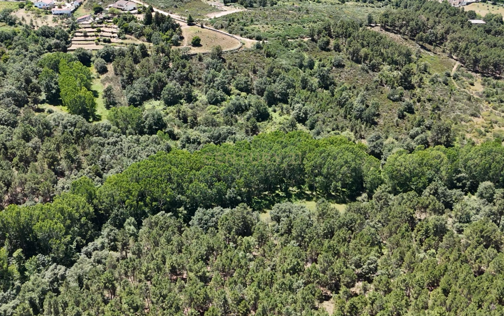 Fotografia 4 de Terreno de 12 hectares, perto da Estrada N2, a 5km da cidade de Chaves