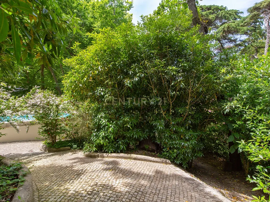 Casa de charme em Sintra - Image 38