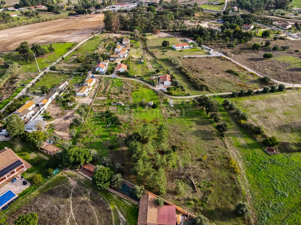 Quintinha em Pinhal Novo - Palmela - Image 7