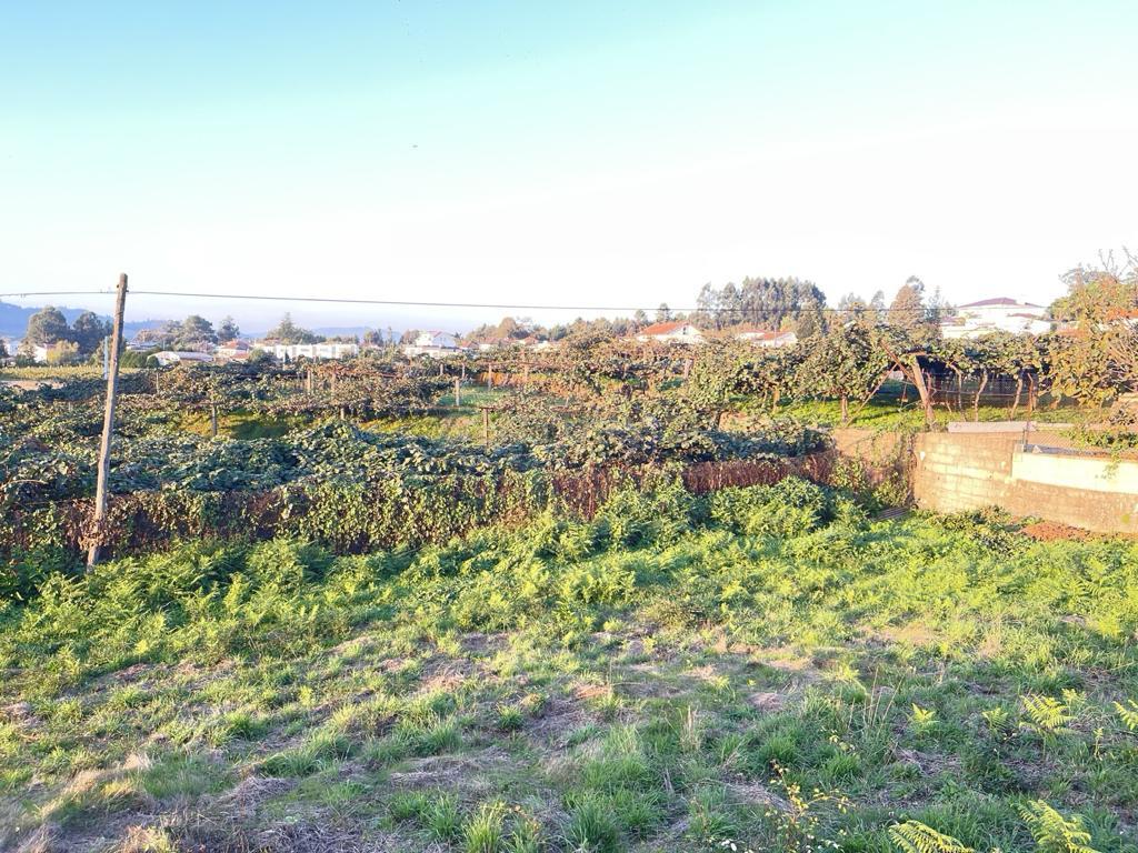 Terreno com 1370 m2 em Gondalães-Paredes - Image 5