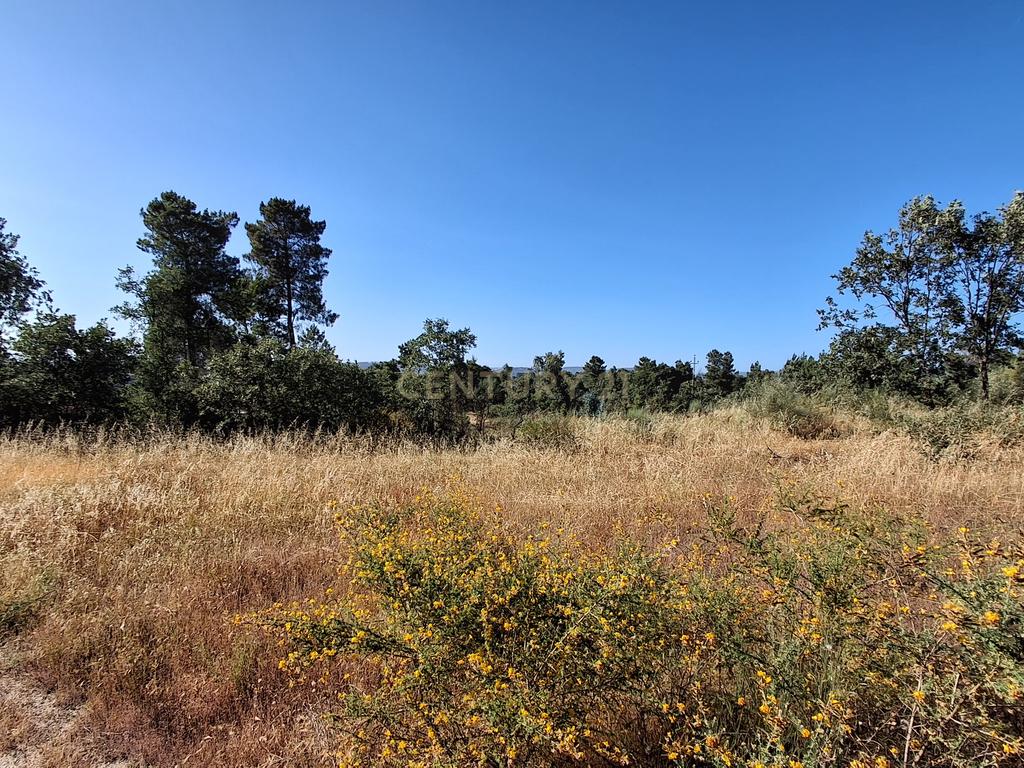 Terreno Rústico, 3800m2 em Aldeia do Bispo, Penamacor - Image 14