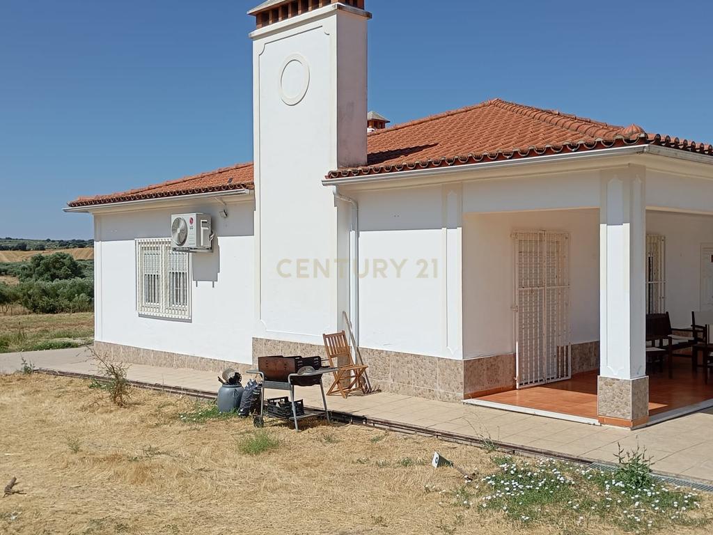 Espetacular Moradia com Piscina e Vinhedo em Campo Maior - Image 30