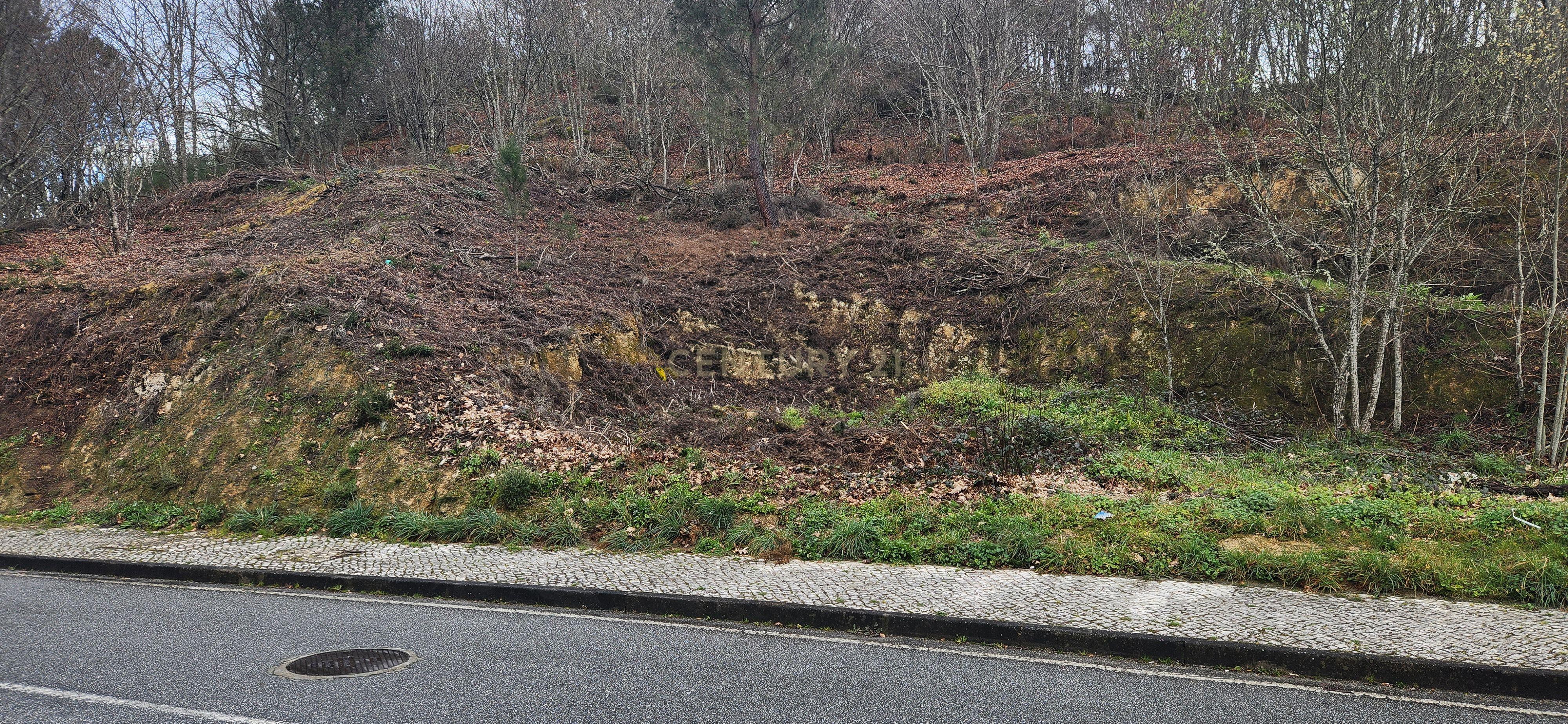 Terreno Urbano em São Pedro do Sul - Image 12