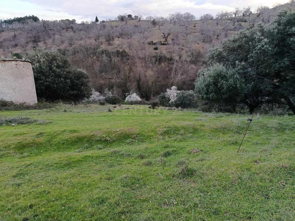 Terreno Urbano Espetacular em Rebordãos, Bragança - Image 5