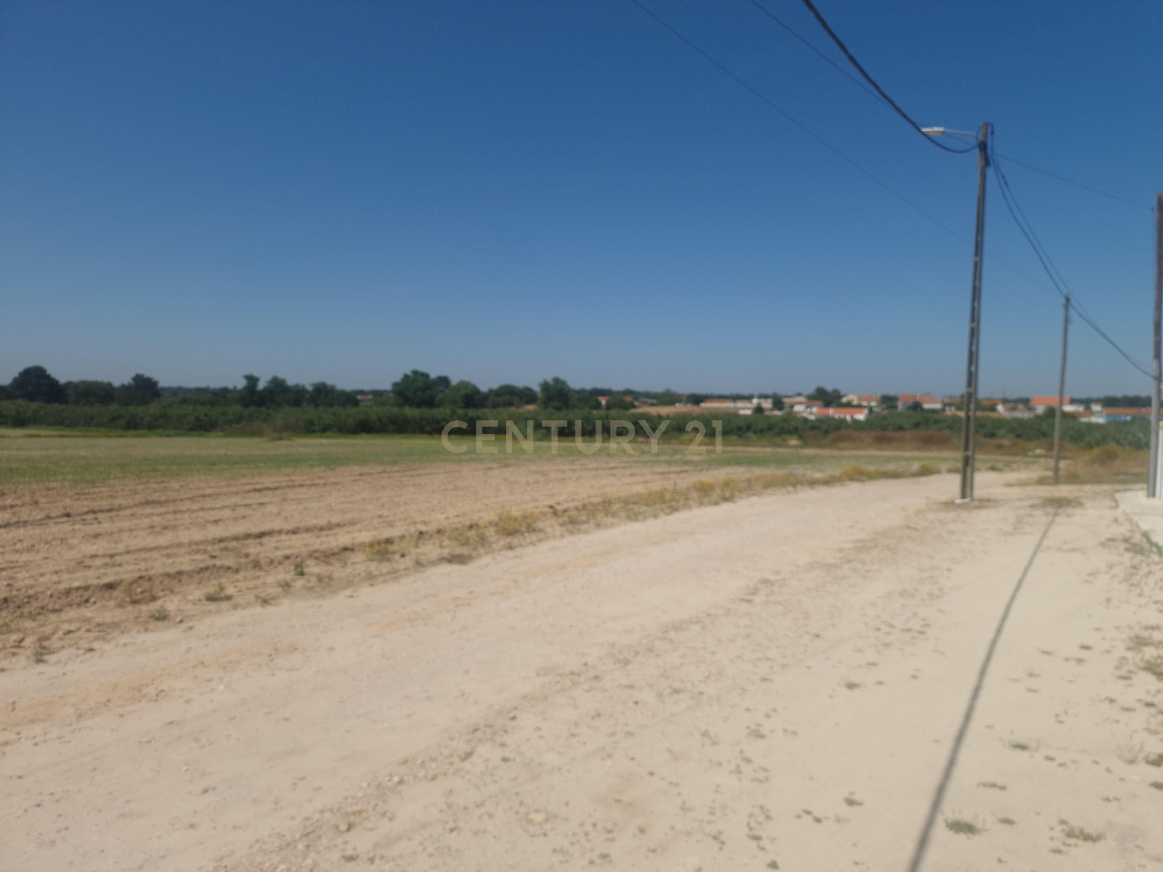 Fotografia 3 de Terreno Rústico com 24.850 m² em Pinhal Novo, Palmela