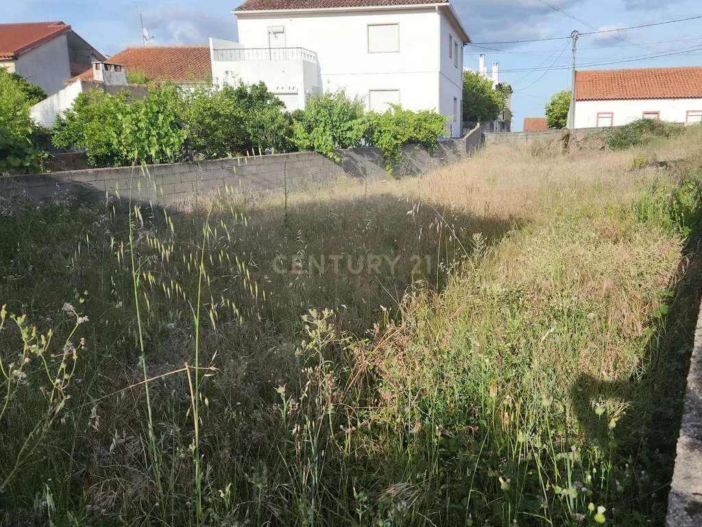 🏡 Oportunidade única na Lousa, Castelo Branco - Image 7