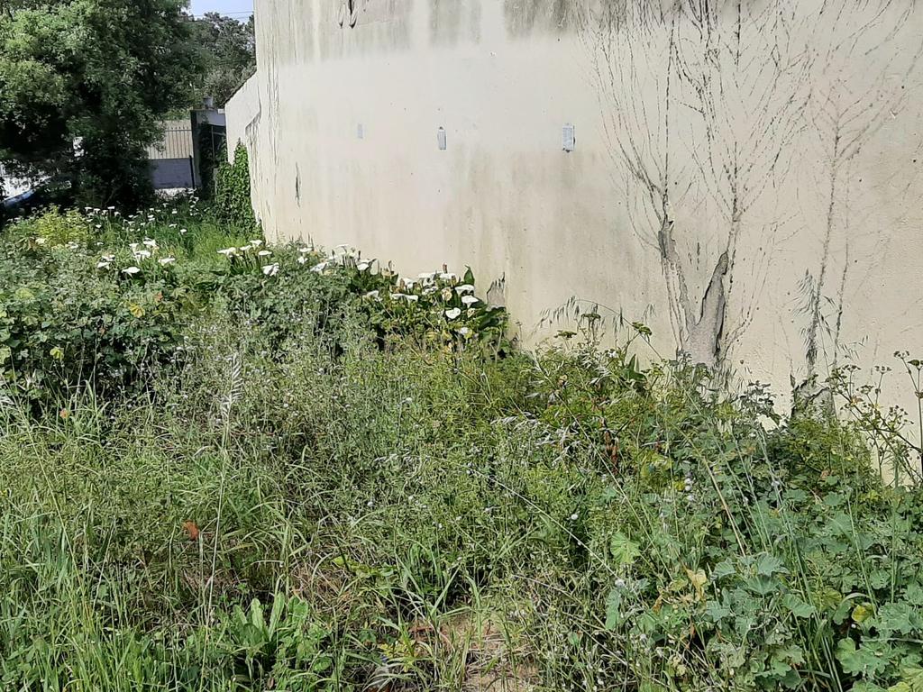 Terreno Urbano nas Quintinhas 600m2 duas frentes de estrada, ótima localização - Image 11