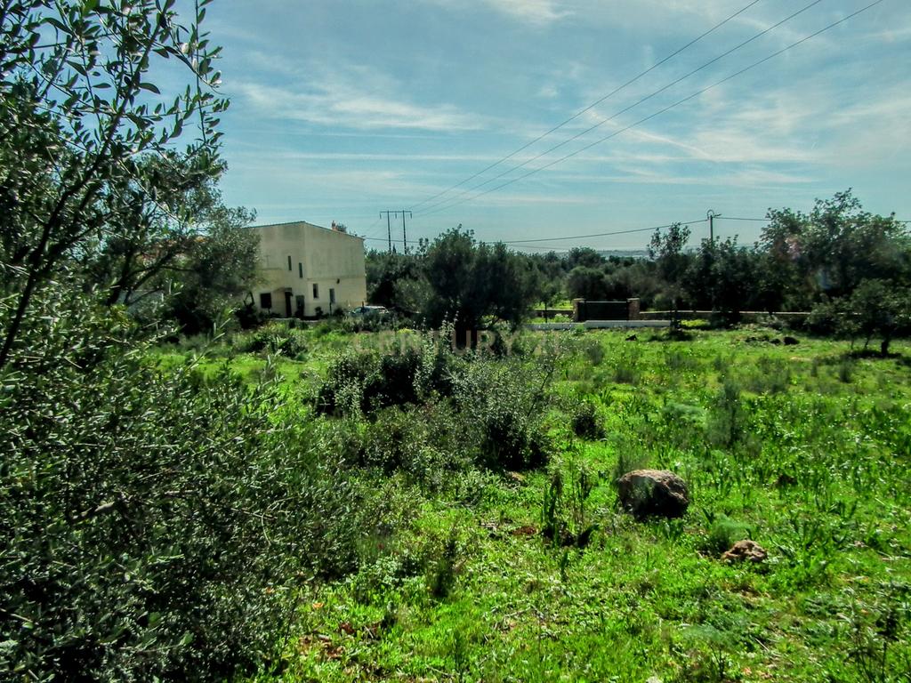 Terreno Rústico em Faro com Vista Panorâmica e Acesso Fácil - Image 16