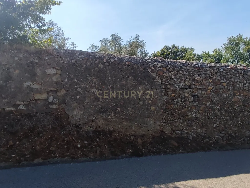 Terreno para construção de moradia em Geria, às portas da cidade de Coimbra - Image 7