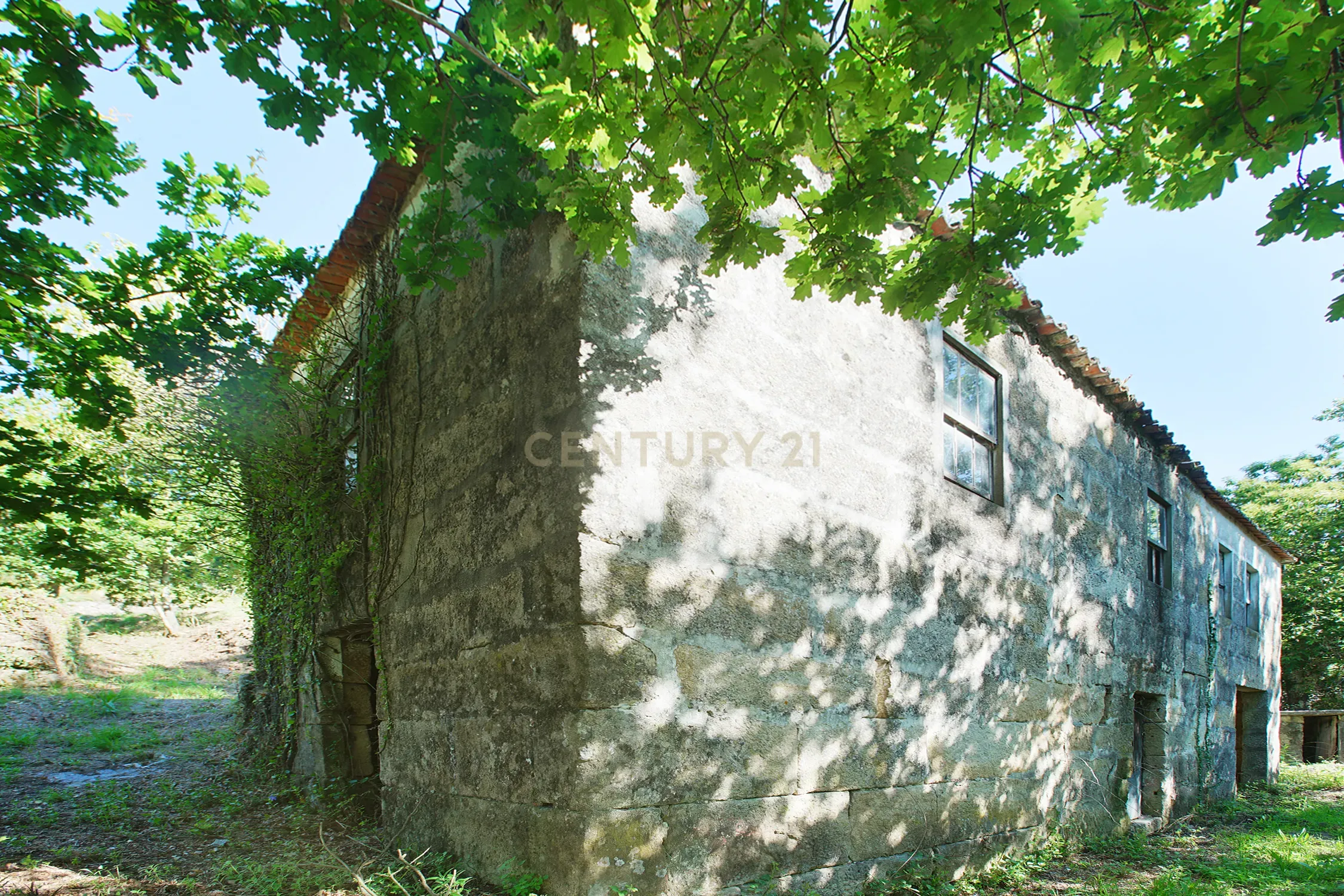 Quinta com 2 casas para restauro em Sande Marco de Canaveses - Image 9