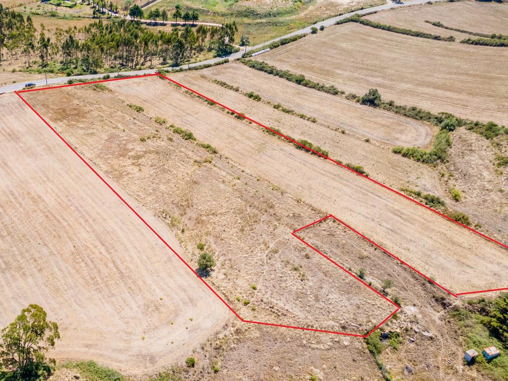 Terreno - Image 4