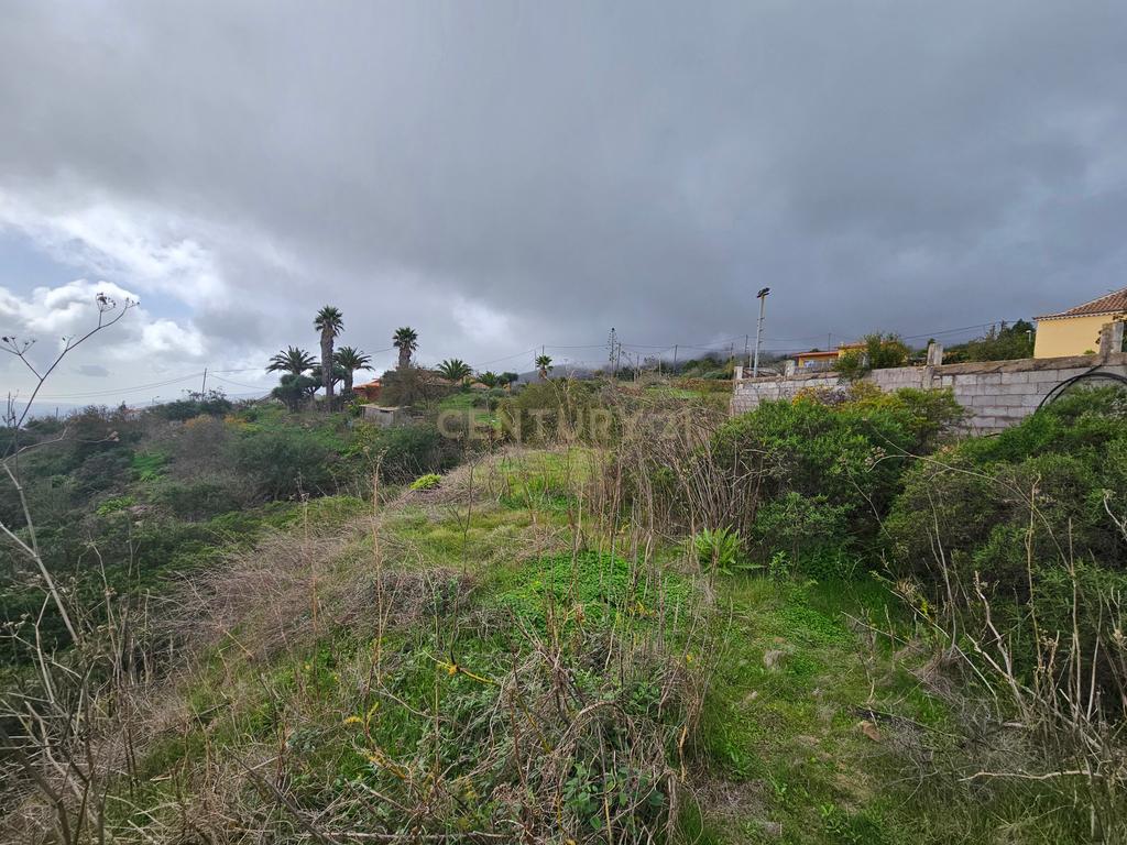 undefined - Image 9