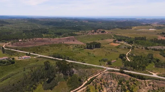 Monte com 6 Hectares e Projeto de Ampliação em São Teotónio - Image 5