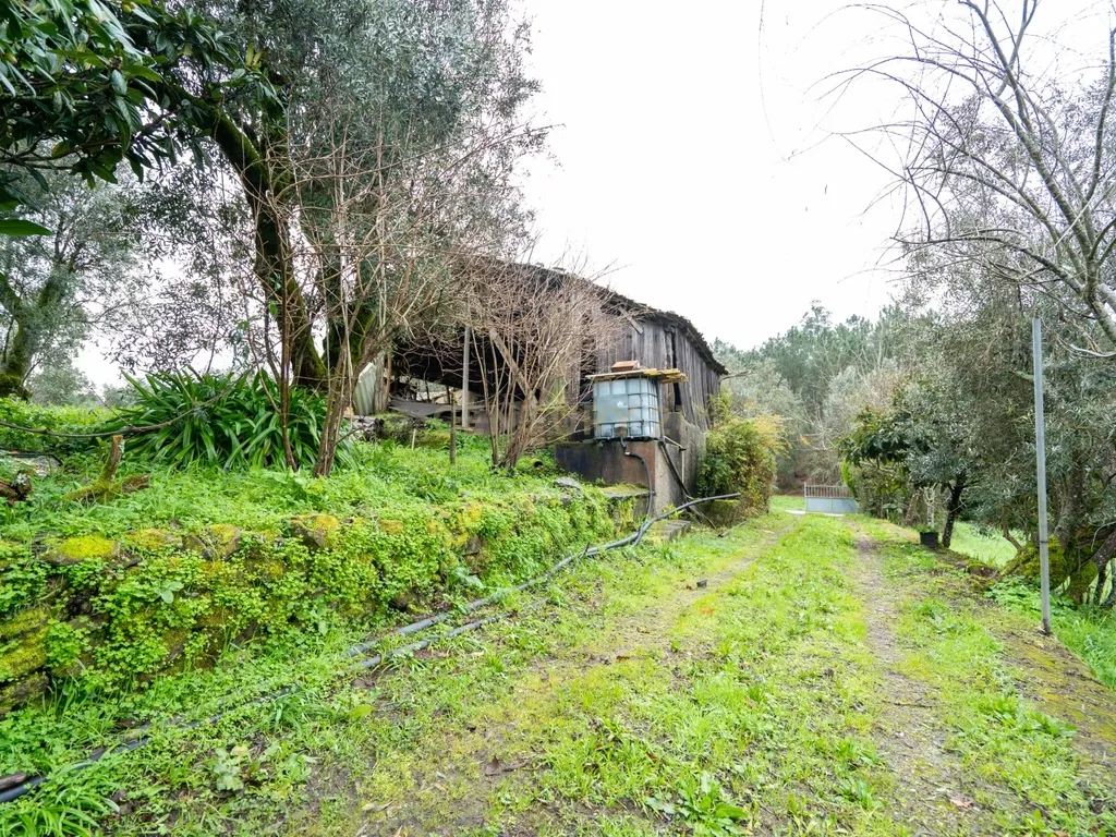 Quinta T5 em Poiares, Vila Nova de Poiares - Oportunidade Única - Image 7