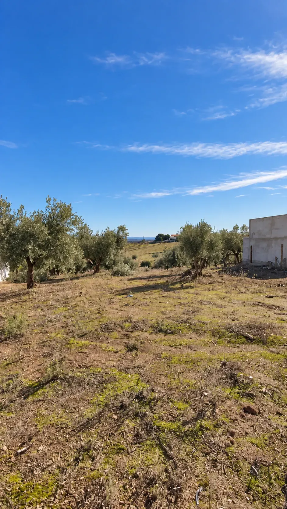 Moradia T3 à venda em Santiago Maior, Alandroal — foto 13