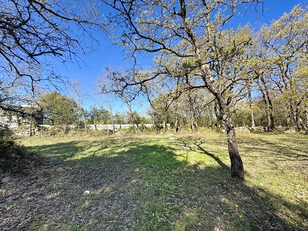 O lugar ideal para construir em plena natureza – Alcobaça - Image 12