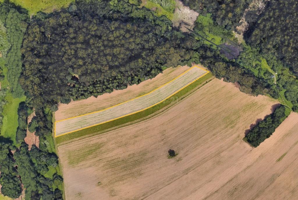 Terreno Agrícola em Ílhavo com Vista Campestre - Image 6