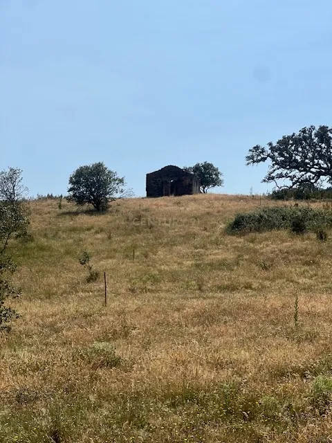 Herdade com 59,225 ha , 687m2 urbano, nascente de água, em Colos, Odemira - Image 50