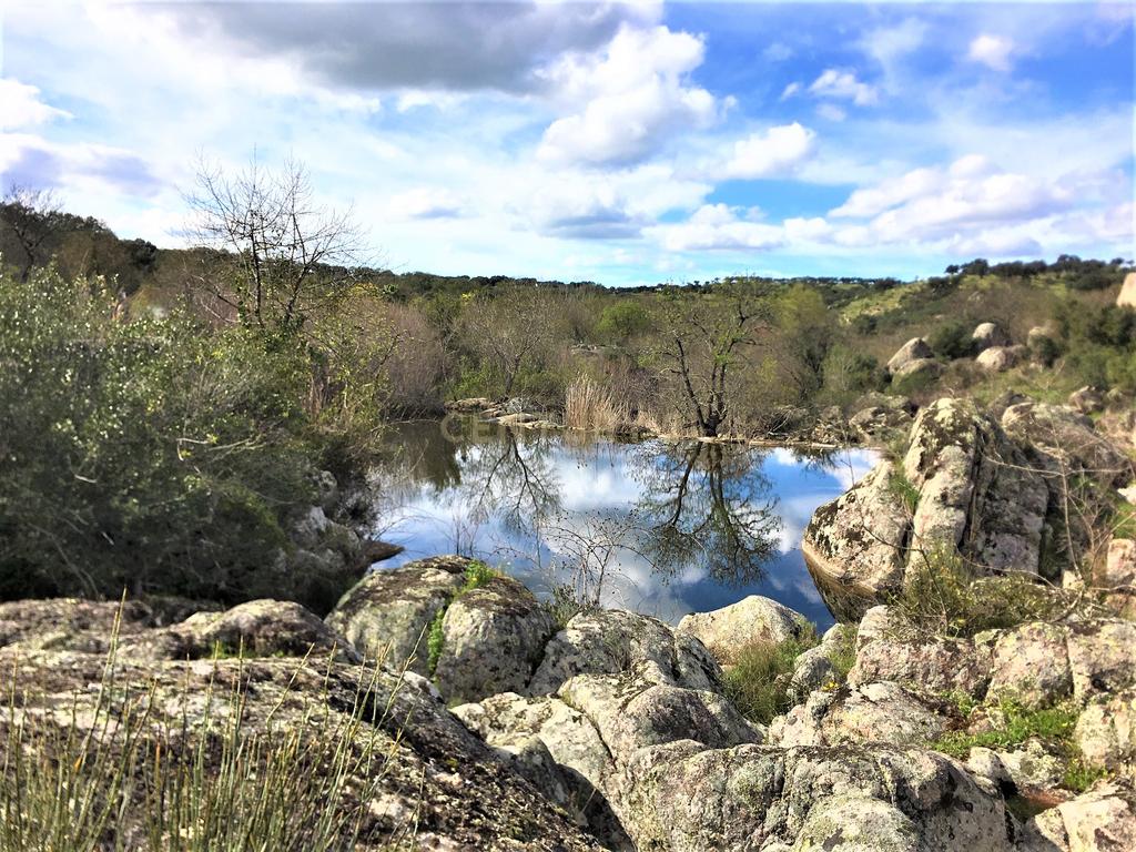 Quinta Típica Alentejana, Licença de Turismo Rural, Arrendamento, Arraiolos - Image 32