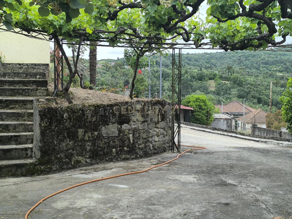Casas prontas a habitar com terreno, arvores de fruto, forno e água própria. - Image 24