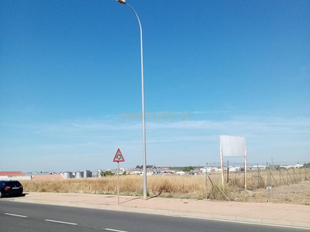 undefined - Image 6