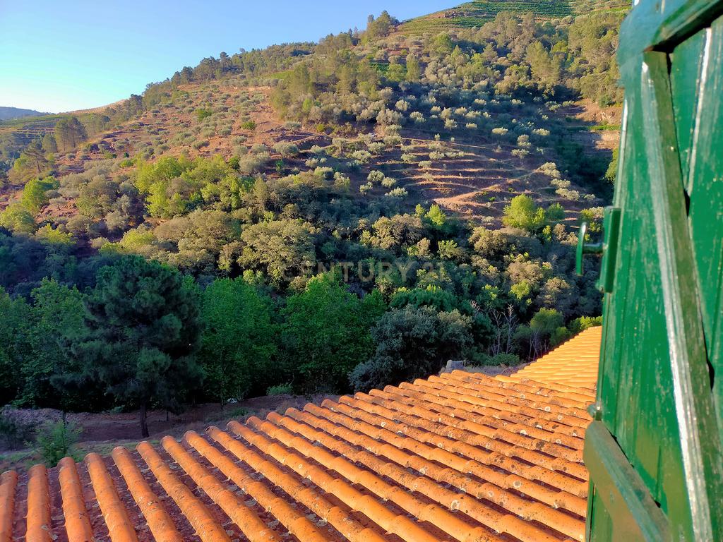 Estância termal inserida em propriedade de 7,4 hectares - Image 8