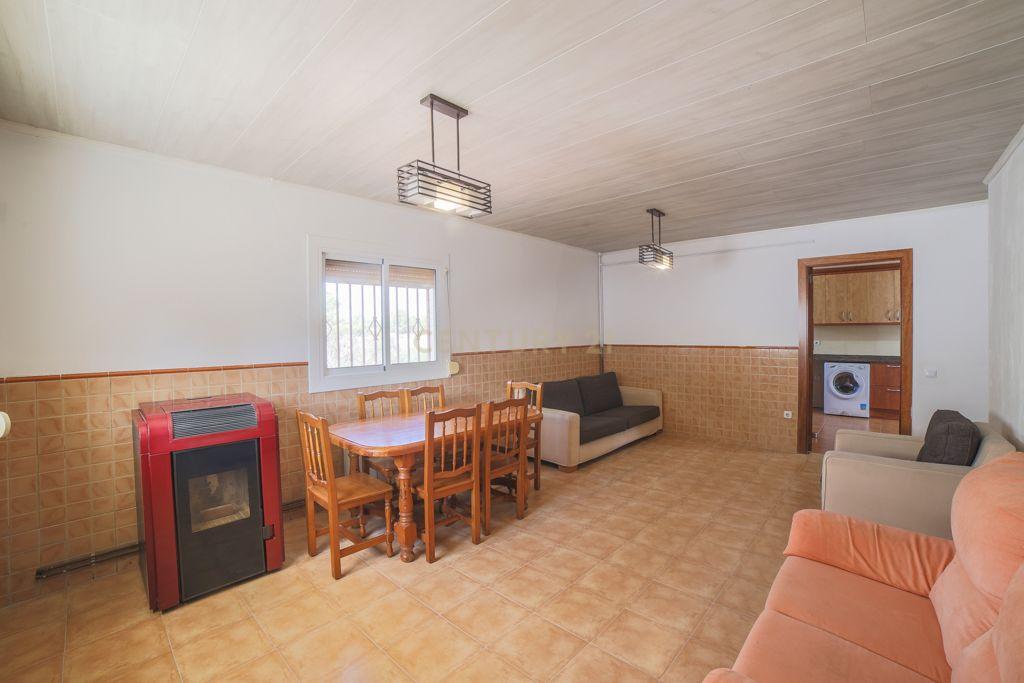 undefined - Image 12