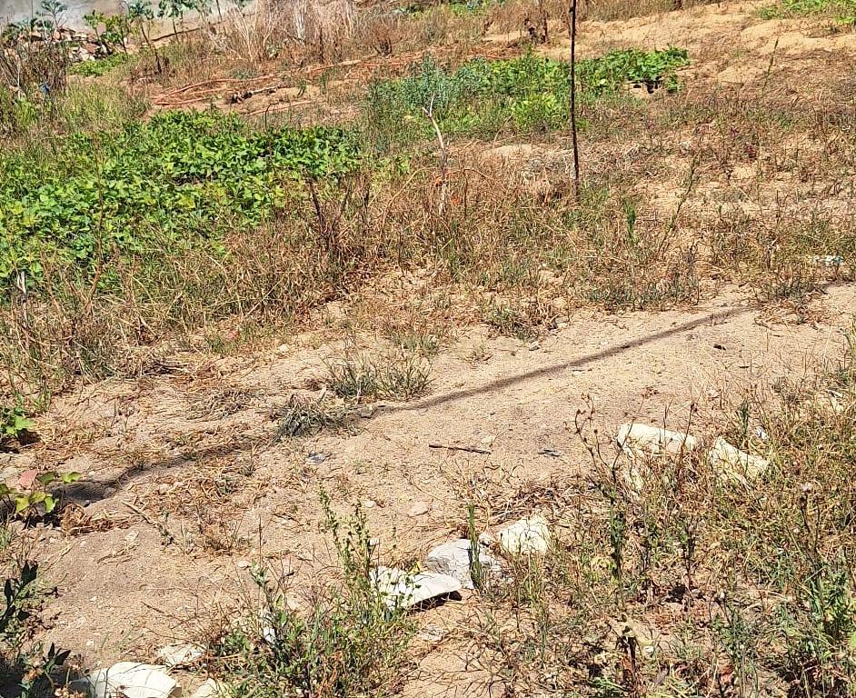 Lote de Terreno - Charneca da Caparica – Excelente Localização  - Image 6
