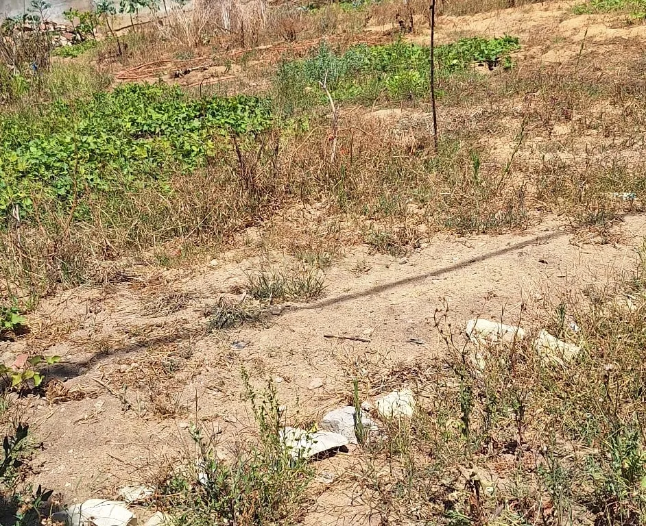 Lote de Terreno - Charneca da Caparica – Excelente Localização - Image 6