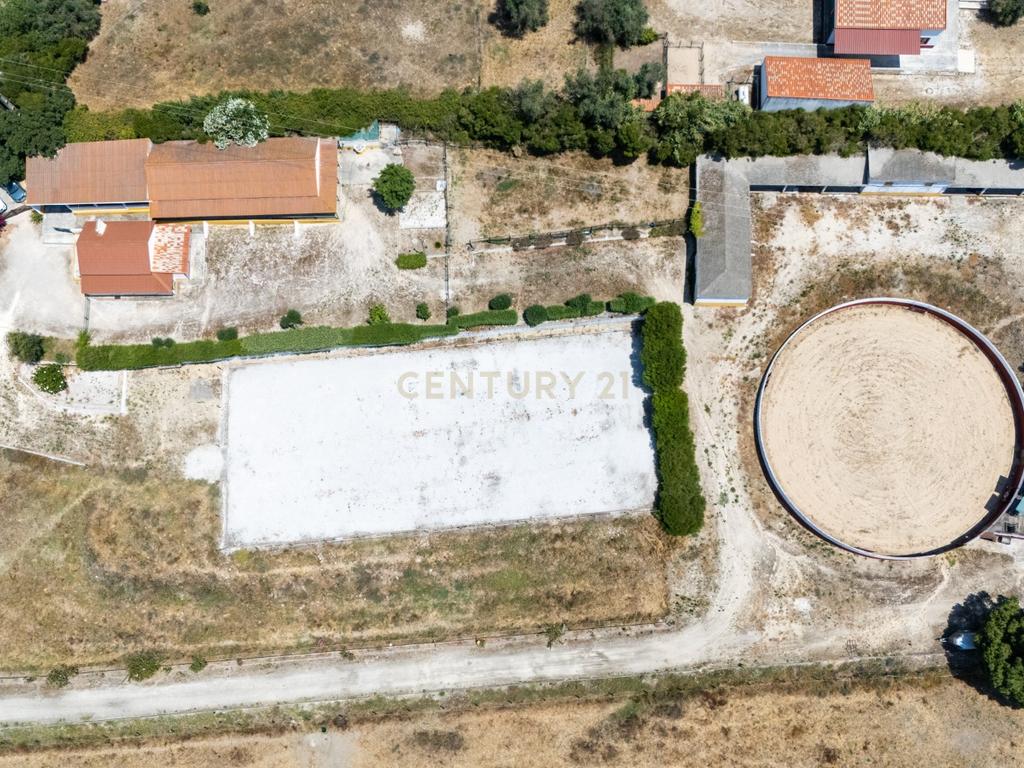 Quinta Equestre a 45 minutos de Lisboa - Image 1