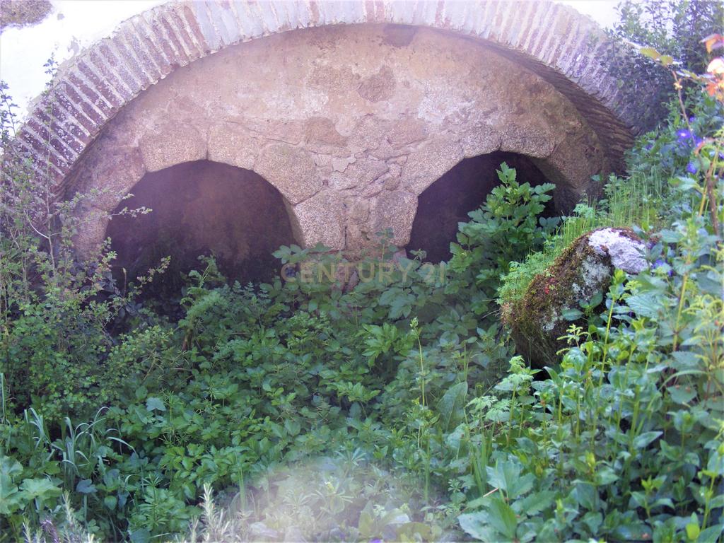 Quinta Típica Alentejana, Licença de Turismo Rural, Arrendamento, Arraiolos - Image 59