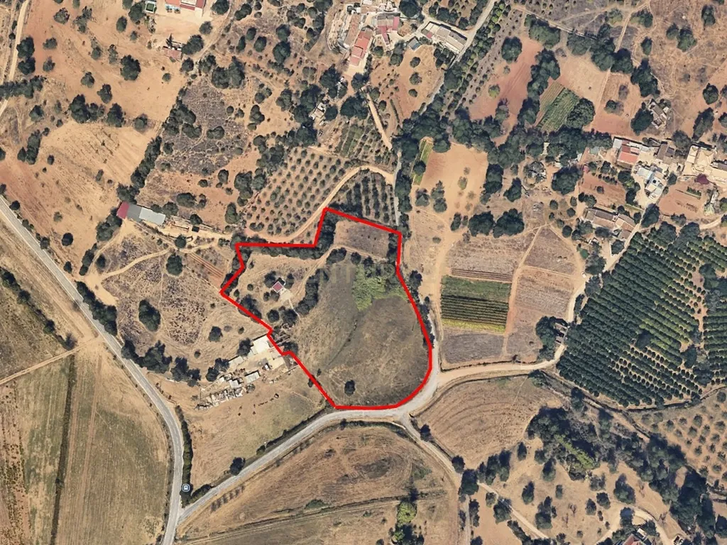 Propriedade Rústica com Ruína e Árvores de Fruto no Vale Formoso – Tavira - Image 6
