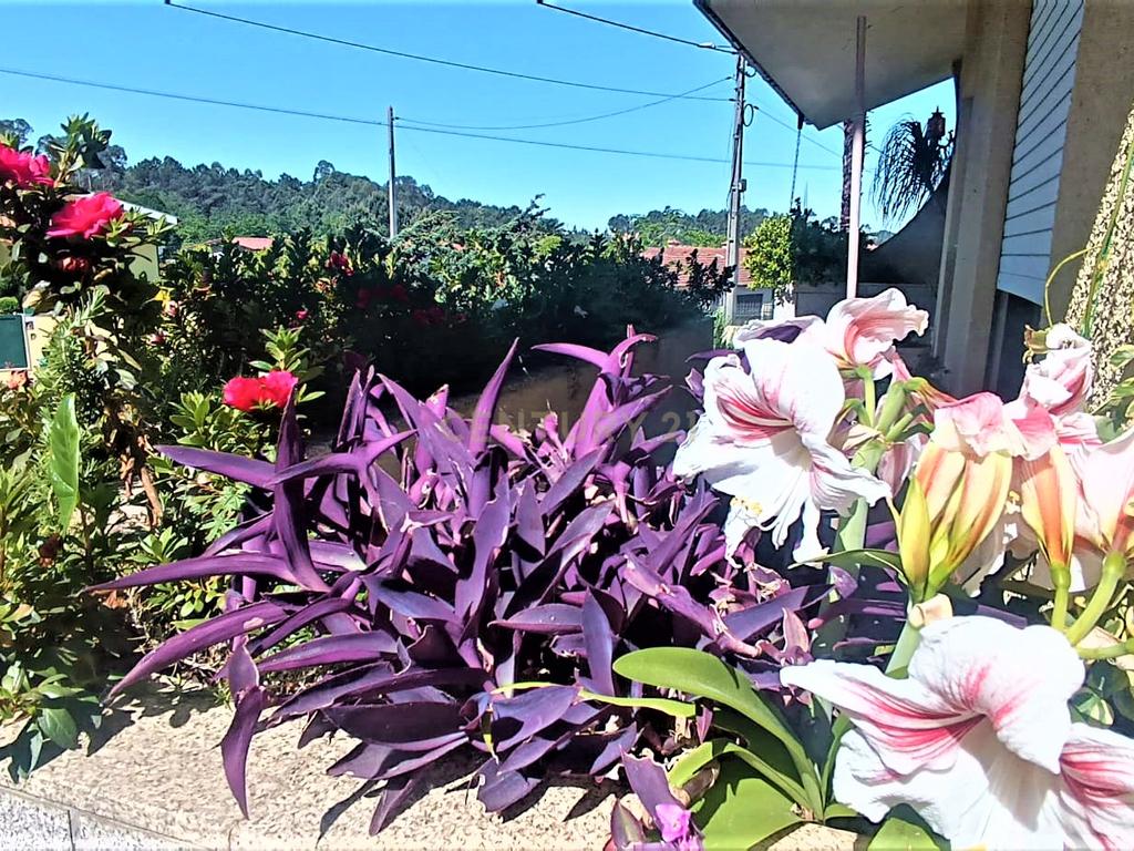 Grande moradia térrea, em Santo Tirso com área de lazer, anexo, jardim e terreno agrícola, Porto - Image 36