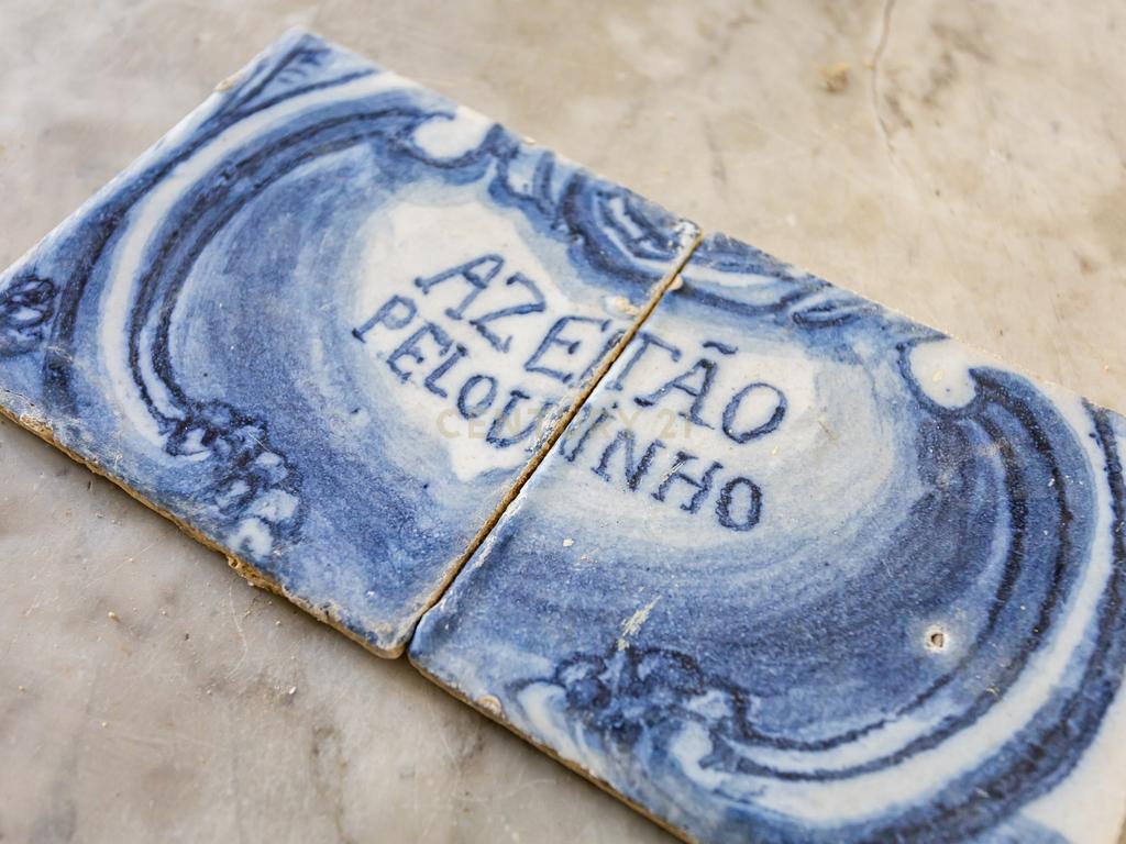 Palacete Passanha Pereira de 1883 - Ferreira do Alentejo - Image 80