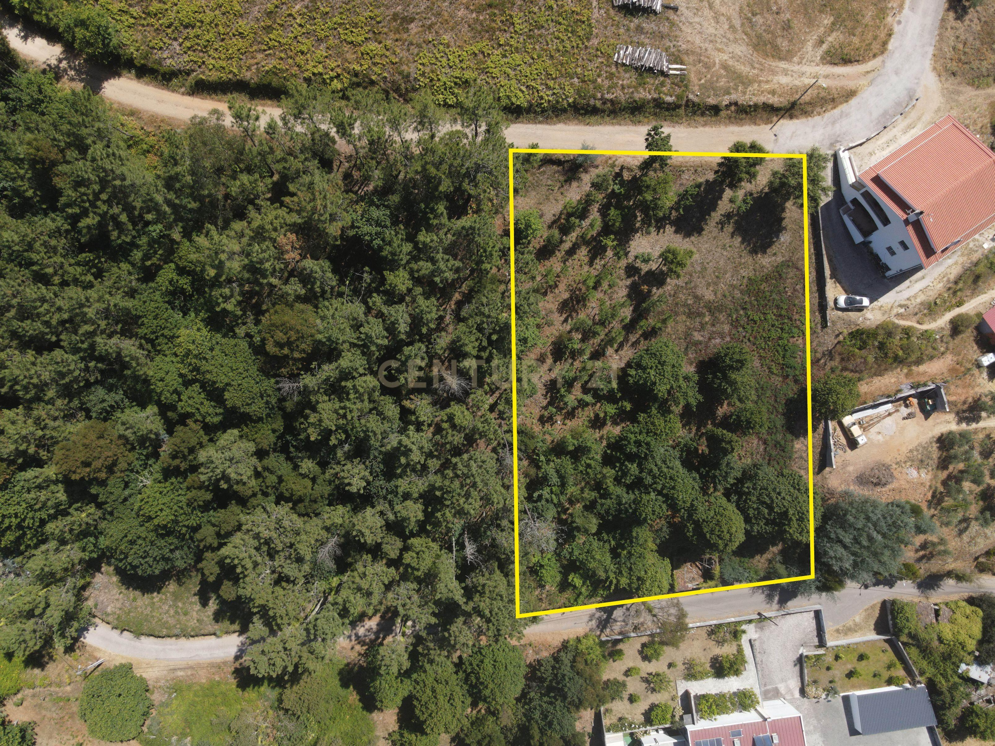 Fotografia 6 de Terreno urbano de 1684m2 para construção com vistas panorâmicas, bom acesso numa localização exceptional e sossegada a 5min. do centro de Lousã