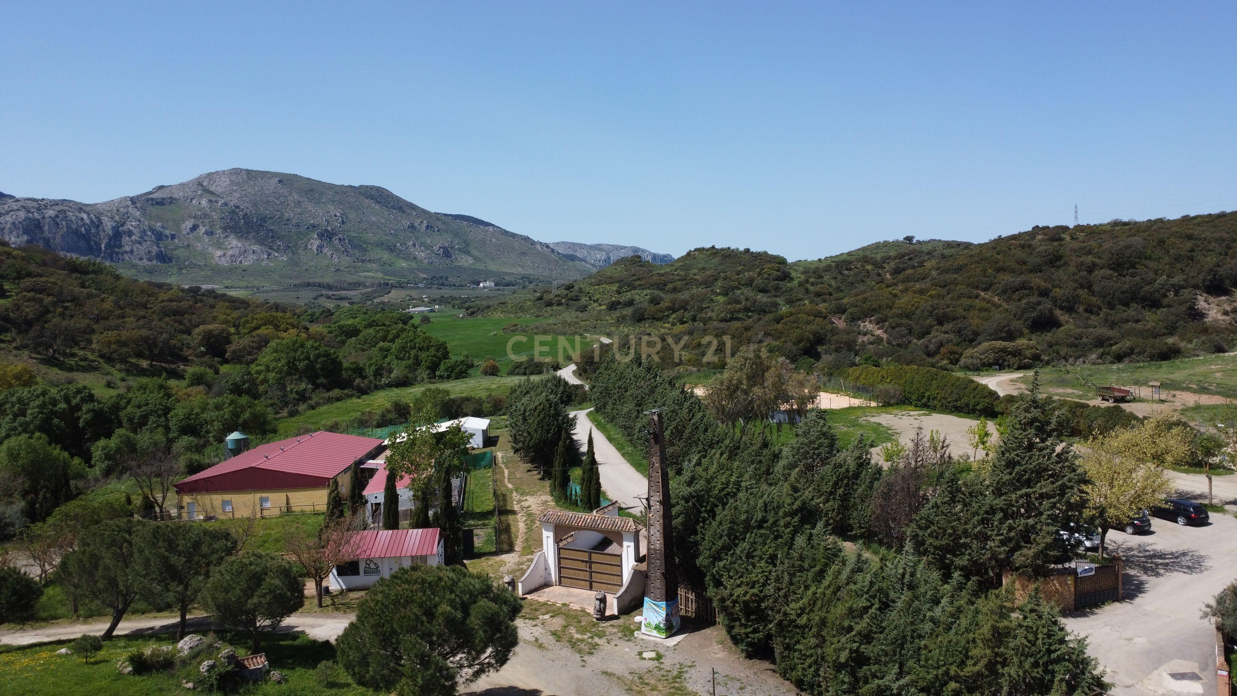 VENDA DE PROPRIEDADE RÚSTICA EM ANTEQUERA COM EXPLORAÇÃO DE AGROTURISMO - Image 25