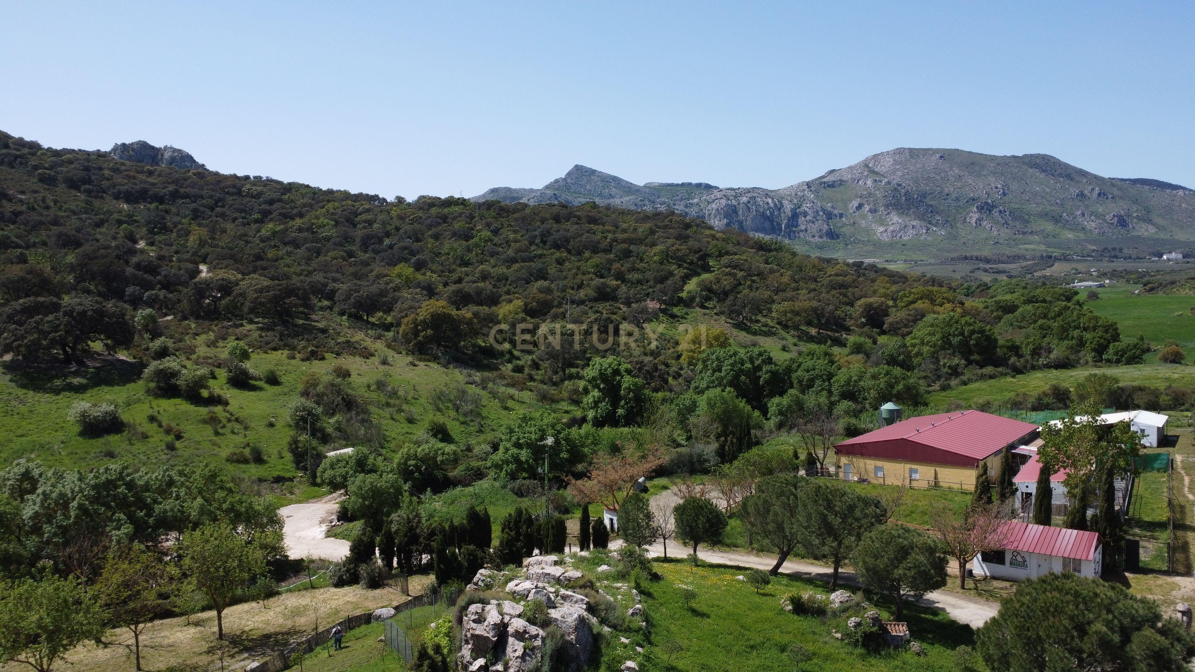 VENDA DE PROPRIEDADE RÚSTICA EM ANTEQUERA COM EXPLORAÇÃO DE AGROTURISMO - Image 27