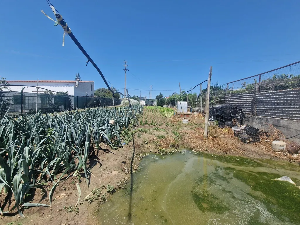 Terreno à venda em Gâmbia Pontes Alto da Guerra, Setúbal - Image 7