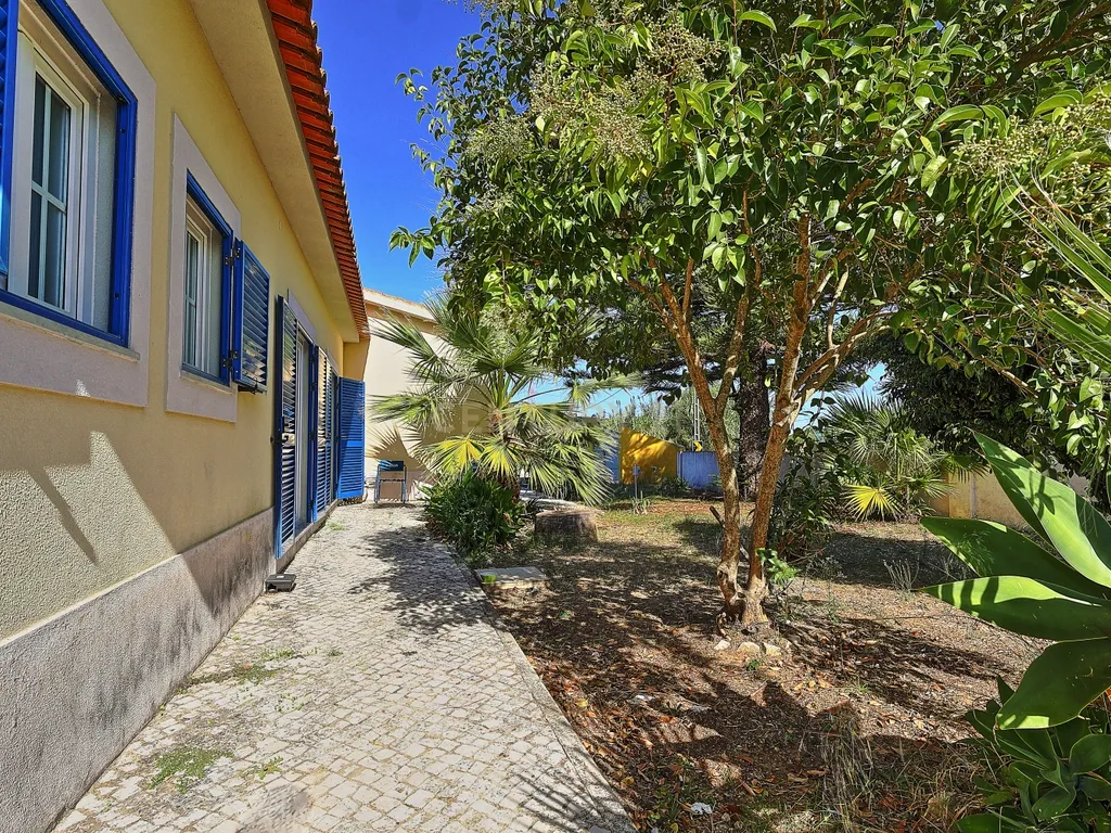 Oportunidade de Investimento, moradia com 6.500 m² de Terreno - Image 13