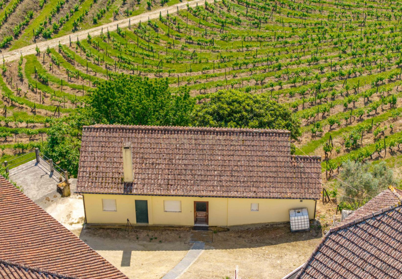 Fotografia 6 de Duas quintas com 30ha para venda em Santa Marta de Penaguião, propriedade exclusiva no Douro