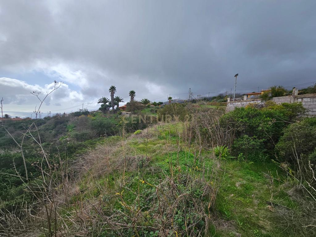 undefined - Image 3