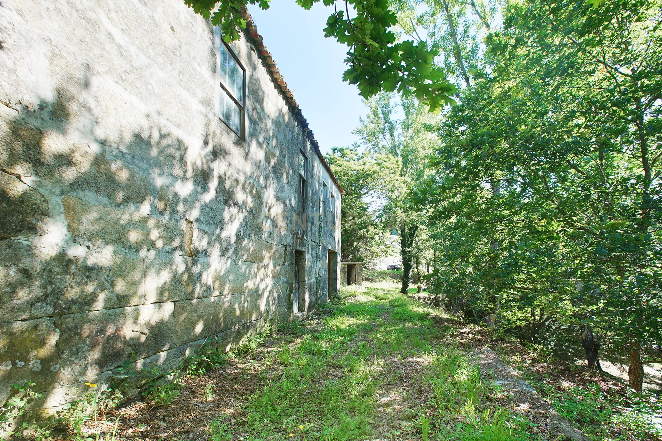 Quinta com 2 casas para restauro em Sande Marco de Canaveses - Image 8