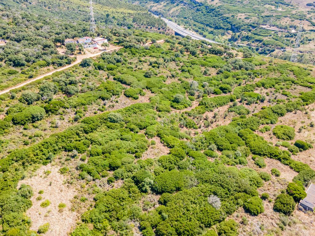 Terreno - Image 3