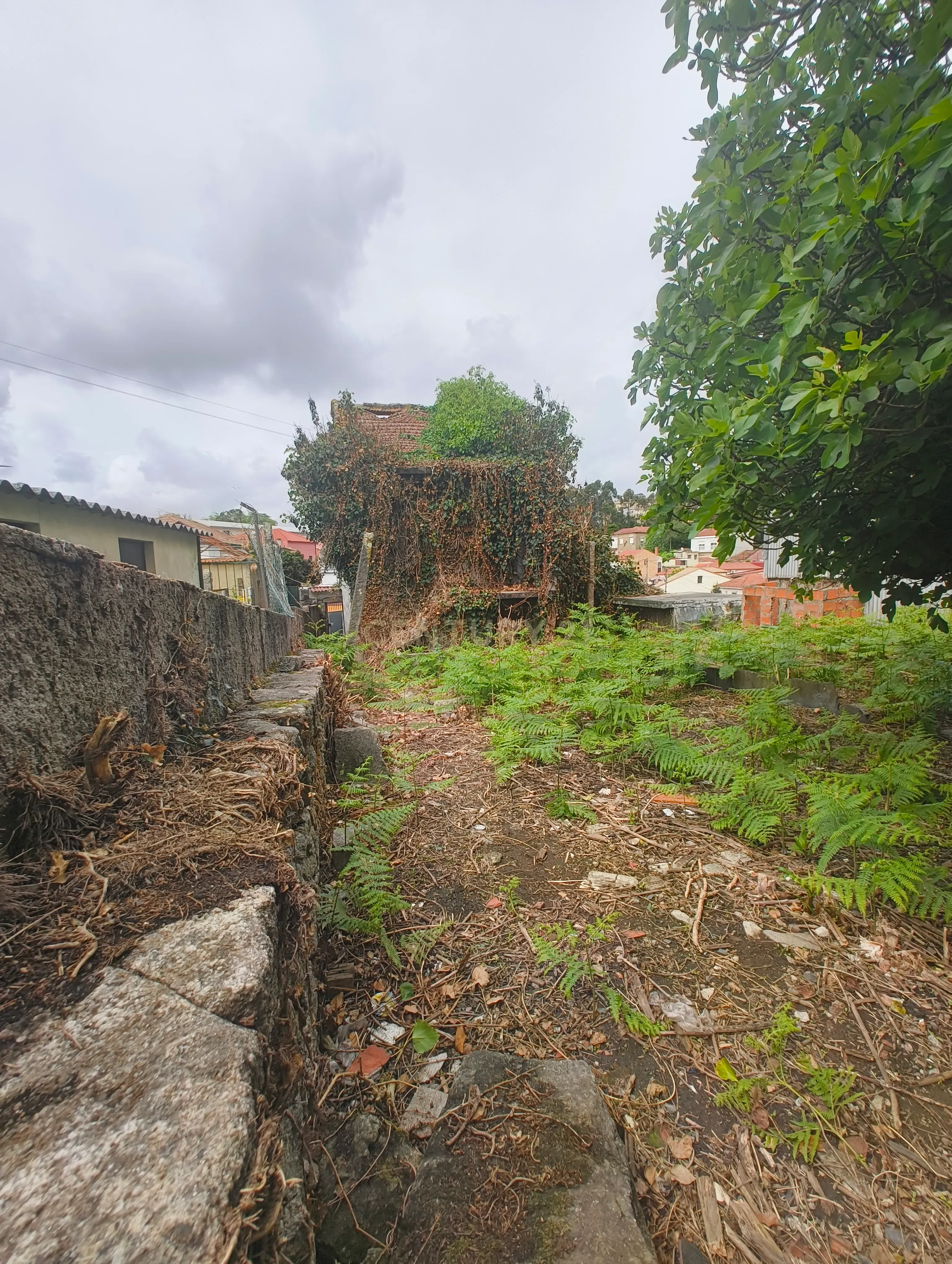 Fotografia 4 de Terreno às Antas para construção em altura