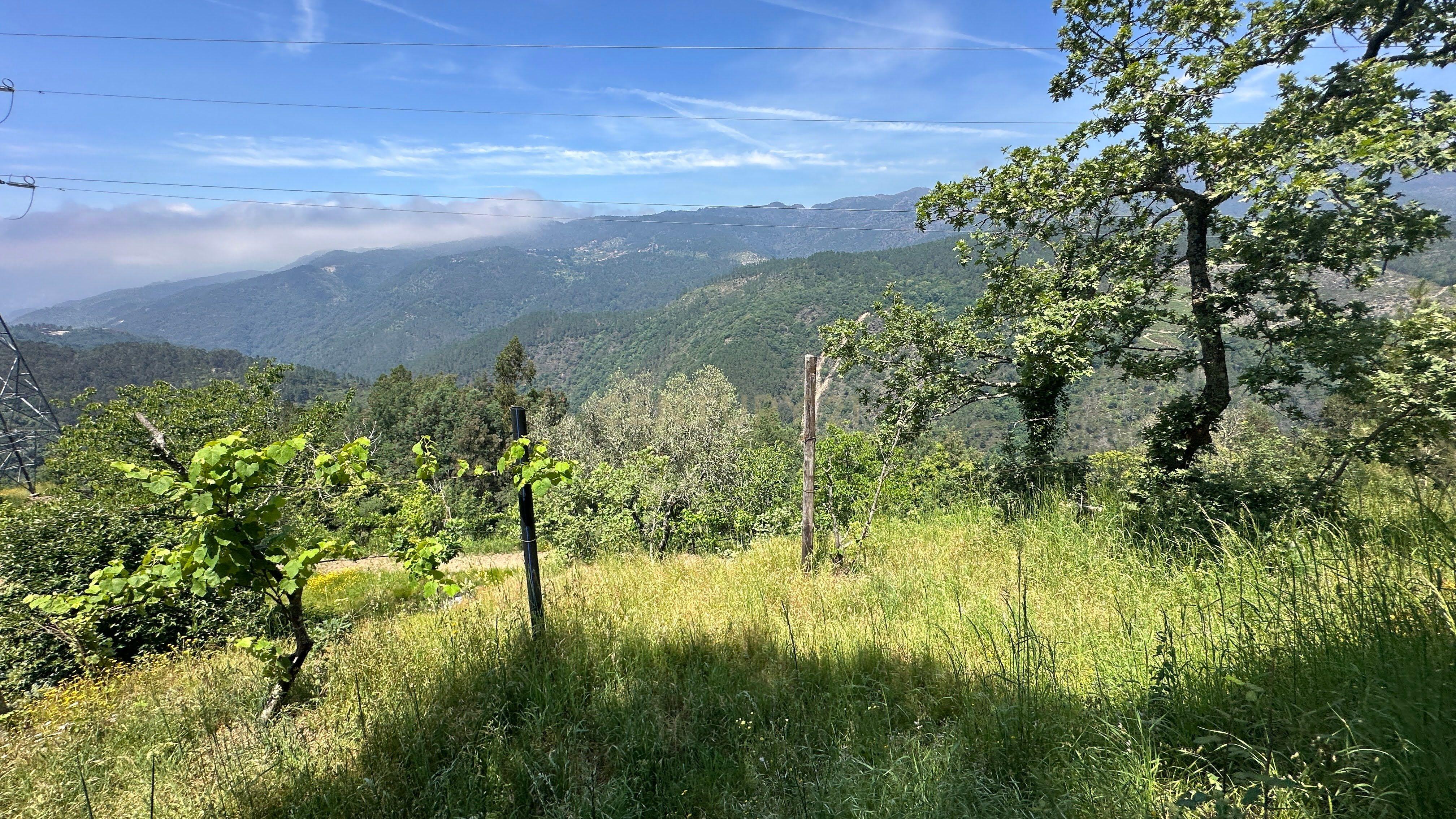 Fotografia 10 de O Refúgio Perfeito no Topo do Gerês: Onde o Silêncio Encontra a Imensidão