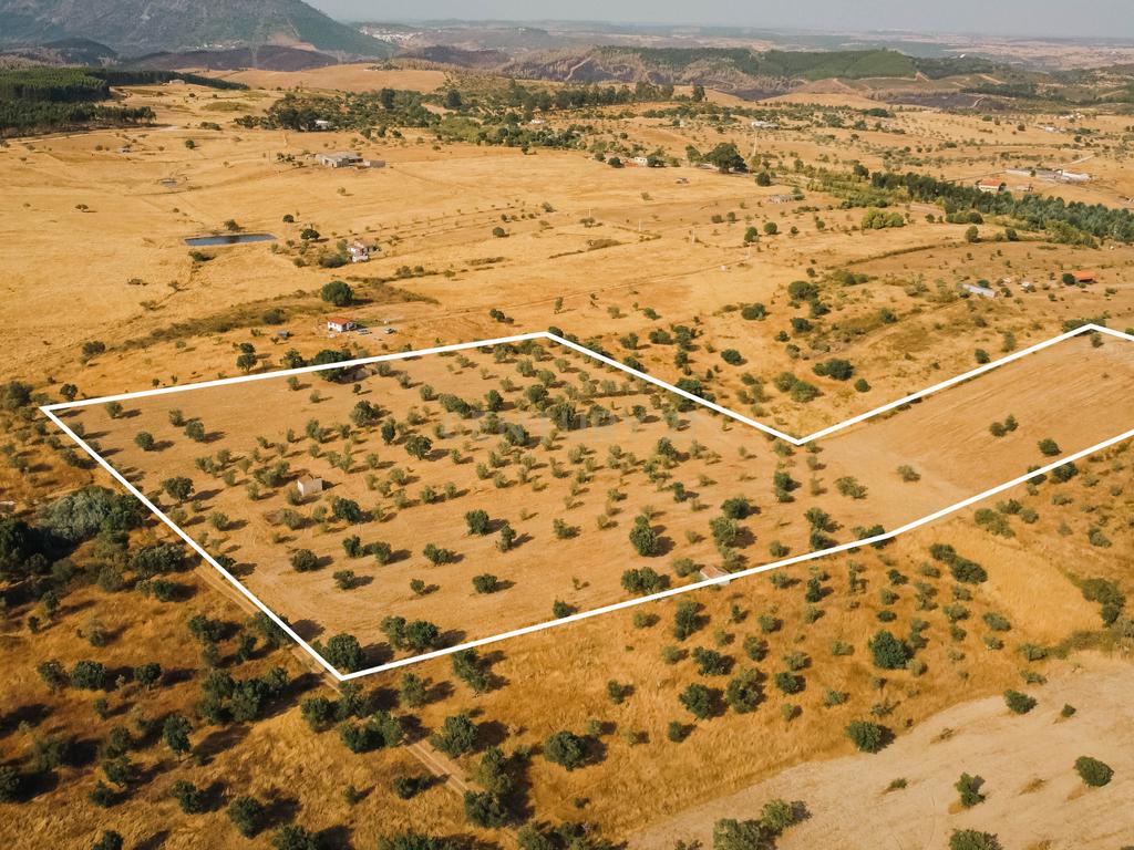 Propriedade rústica com potencial agrícola, habitacional e turístico – 3,12 hectares – Nisa - Image 3
