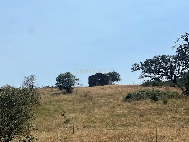 Herdade com 59,225 ha , 687m2 urbano, nascente de água, em Colos, Odemira - Image 48