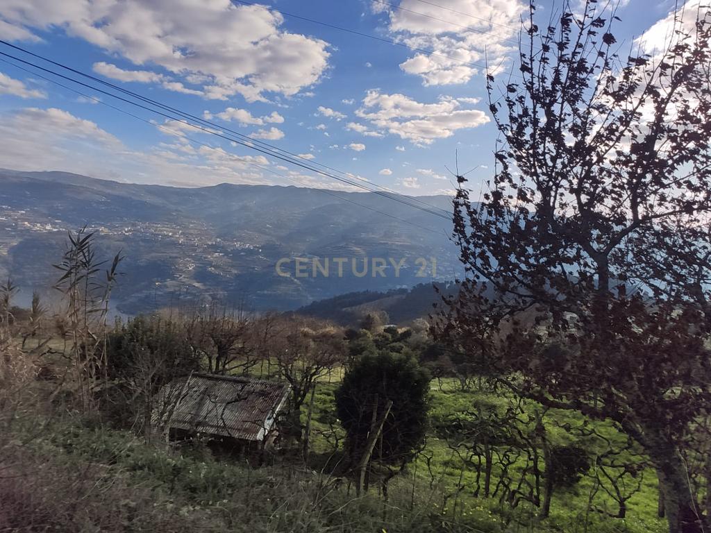 Terreno com casinha e vista para o rio Douro, em S. Tomé de Covelas, Baião para projeto agrícola - Image 71
