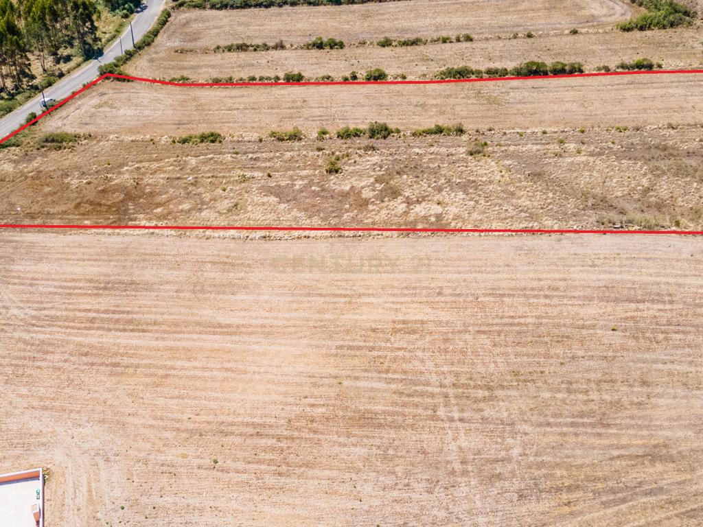 Terreno - Image 9