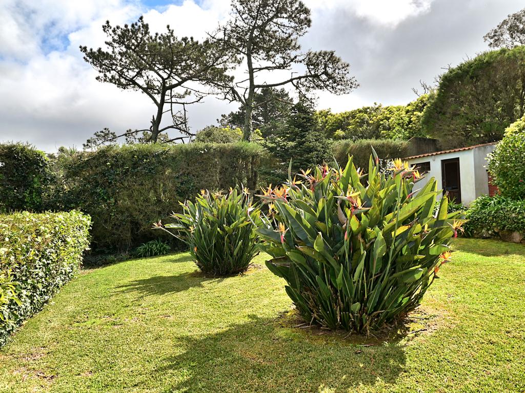 Casa de campo, com vista Mar - Parque Natural Sintra Cascais - Arrendamento - Image 24